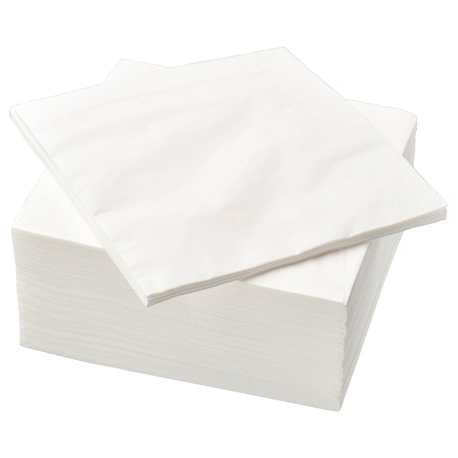 Napkin (set of 100)