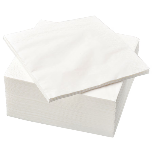 Napkin (set of 100)